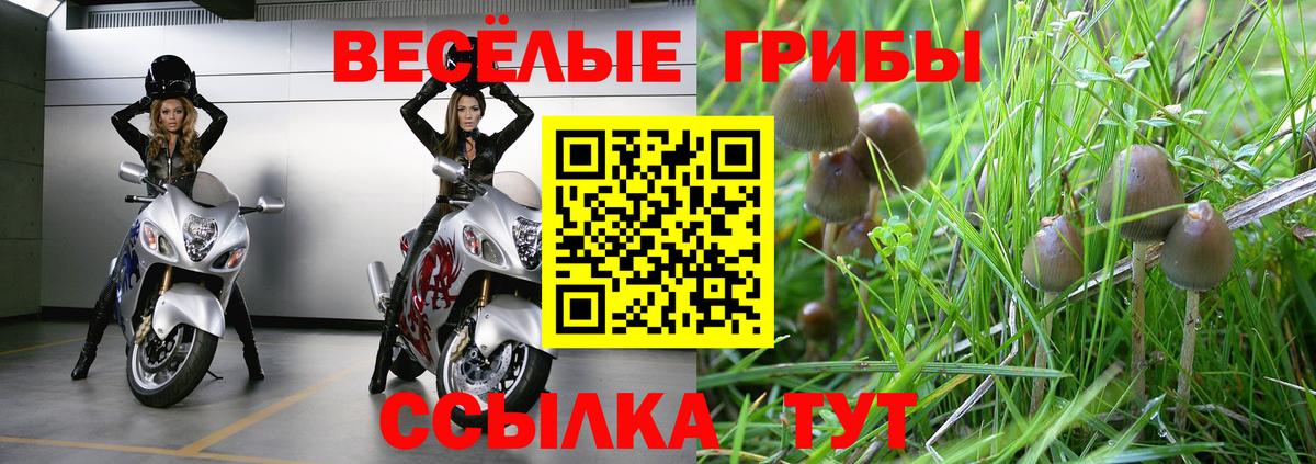 Галлюциногенные грибы прущие грибы  Вход с VPN  Йошкар-Ола 