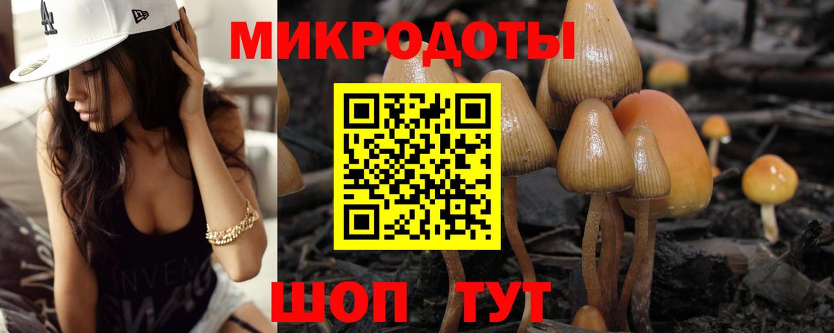 Галлюциногенные грибы мицелий Йошкар-Ола