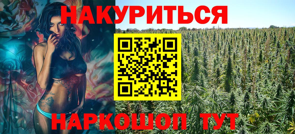 Марихуана сатива Йошкар-Ола